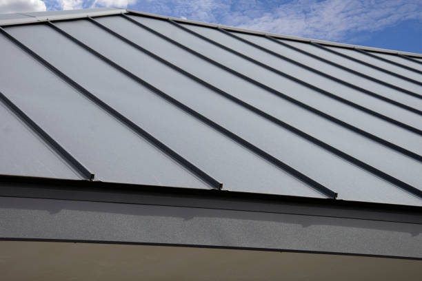Best Flat Roofing  in Oswego, IL